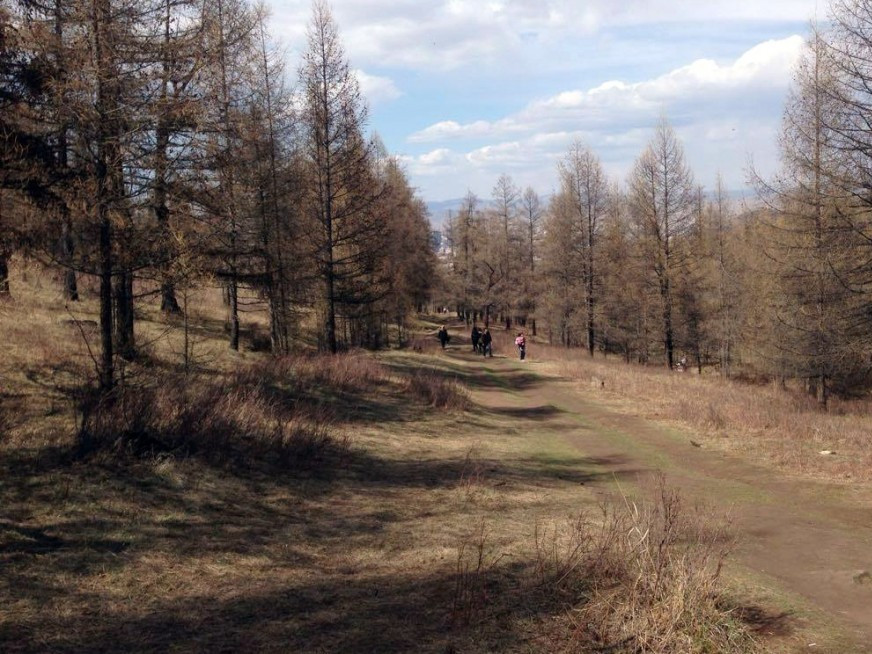 Гангийн эрсдэлийн үнэлгээгээр Өвөрхангай, Баян-өлгий, Өмнөговь, Ховд, Дорноговь аймгууд их эрсдэлтэй байна